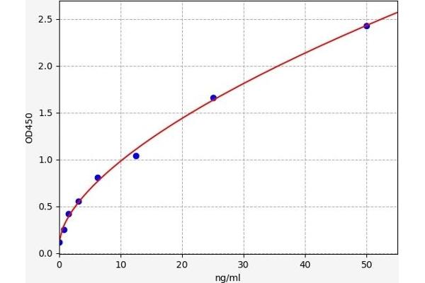 GSTM2 ELISA Kit