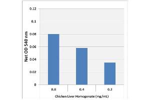 Glycogen Detection in Chicken Liver using the Glycogen Assay Kit (Colorimetric). (Glycogen Assay Kit (Colorimetric))