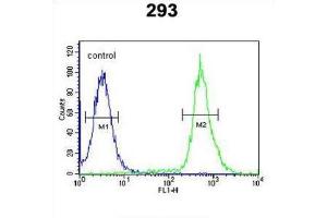 Flow Cytometry (FACS) image for anti-TAM41, Mitochondrial Translocator Assembly and Maintenance Protein (TAMM41) antibody (ABIN3002329) (TAM41 Antikörper)