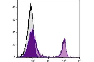 BALB/c mouse splenocytes were stained with Rat Anti-Mouse CD4-UNLB  followed by Mouse Anti-Rat IgG2b-PE. (CD4 Antikörper)