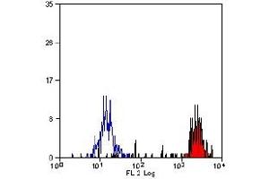 Staining of human peripheral blood monocytes probed with Mouse anti Human CD14 - RPE (CD14 Antikörper  (PE))