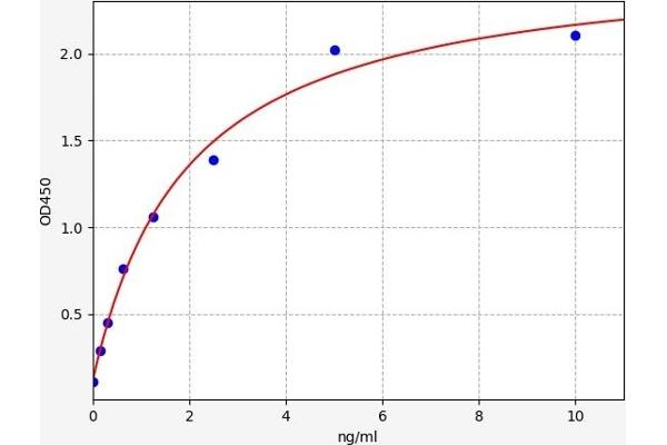 FADS1 ELISA Kit