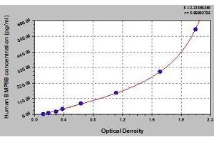 Typical standard curve (BMP8B ELISA Kit)