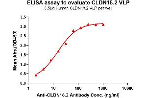 ELISA image for CLDN18.2 protein-VLP (ABIN7491591)