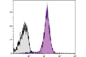 C57BL/6 mouse splenocytes were stained with Rat Anti-Mouse CD2-PE. (CD2 Antikörper  (PE))