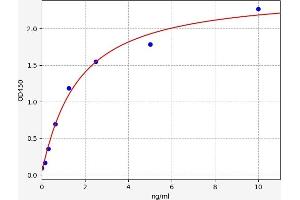 LHB ELISA Kit