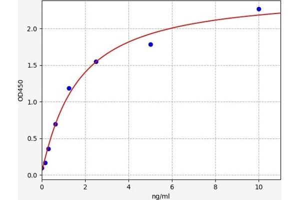 LHB ELISA Kit