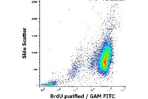 Flow cytometry intracellular staining pattern of BrdU incorporated K562 cells stained using anti-BrdU (Bu20a) purified antibody (concentration in sample 4 μg/mL, GAM FITC). (BrdU Antikörper)