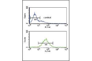 Flow cytometric analysis of K562 cells (bottom histogram) compared to a negative control cell (top histogram). (SRD5A3 Antikörper  (C-Term))