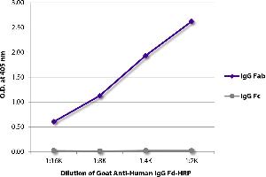 ELISA plate was coated with purified human IgG Fab and IgG Fc. (Ziege anti-Human IgG (Fd Region) Antikörper (HRP))