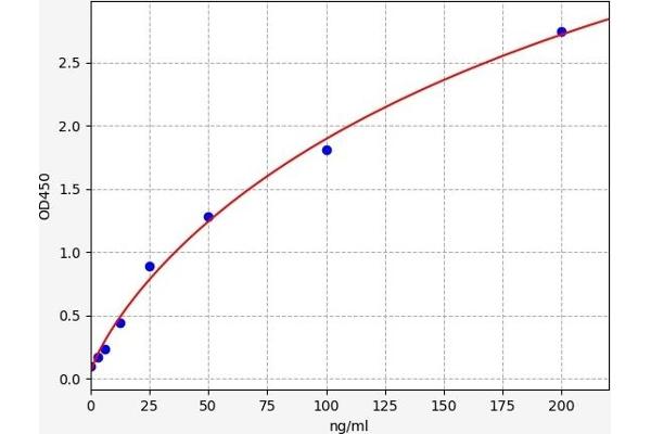 AMY2 ELISA Kit