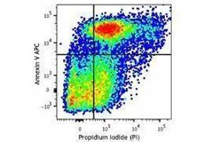 Flow Cytometry (FACS) image for APC Annexin V Apoptosis Detection Kit with PI (ABIN2669211) (APC Annexin V Apoptosis Detection Kit with PI)