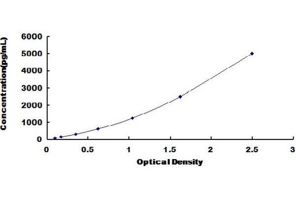 C8G ELISA Kit