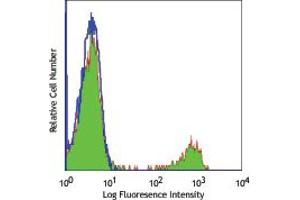 Image no. 1 for anti-CD8a Molecule (CD8A) antibody (ABIN205313) (CD8 alpha Antikörper)