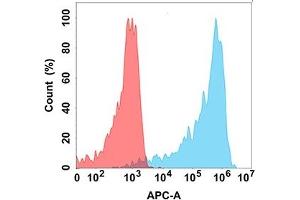 Flow cytometry analysis with Anti-A (DM186) on Expi293 cells transfected with human A (Blue histogram) or Expi293 transfected with irrelevant protein (Red histogram). (AMHR2 Antikörper  (AA 18-149))