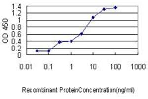 ELISA image for anti-Mitochondrial Ribosomal Protein L12 (MRPL12) (AA 1-198) antibody (ABIN562710)