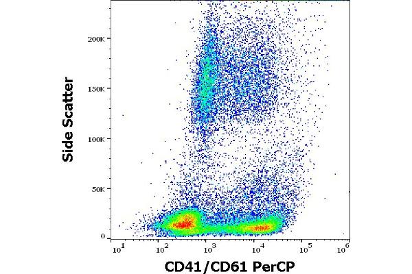 CD41, CD61 Antikörper  (PerCP)