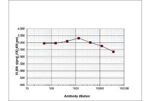 ELISA of anti-Histone H3 K27 me2 antibody ELISA results of Rabbit anti-Histone H3 K27 me2 antibody. (HIST1H3A Antikörper  (H3K27me2))