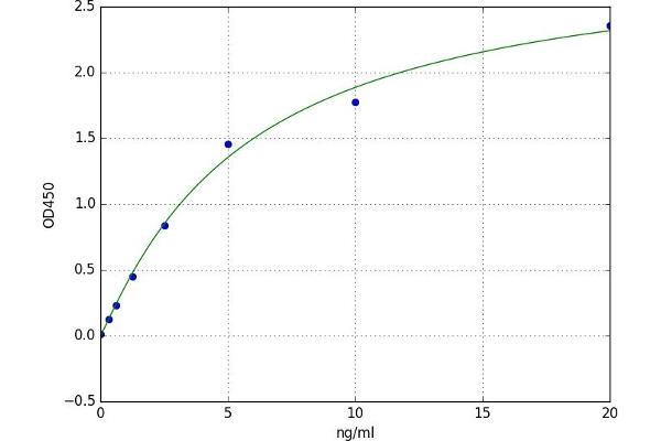 COLEC12 ELISA Kit