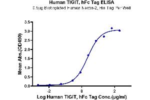 ELISA image for T Cell Immunoreceptor with Ig and ITIM Domains (TIGIT) (AA 22-141) protein (Fc Tag) (ABIN7275729)