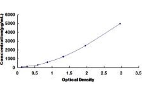 BCL9 ELISA Kit