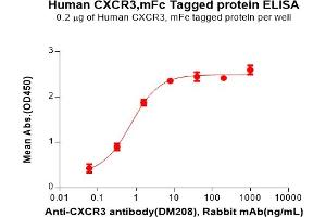 ELISA plate pre-coated by 2 μg/mL (100 μL/well) Human C Protein, mFc Tag(ABIN7455563, ABIN7491146 and ABIN7491147) can bind Anti-C antibody(DM208), Rabbit mAb in a linear range of 0. (CXCR3 Protein (AA 1-53) (mFc Tag))