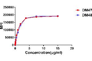 Affinity ranking of different Rabbit anti- mAb clones by titration of different concentration onto Expi 293 cell line transfected with human . (Rekombinanter ACE2 Antikörper  (AA 18-740))