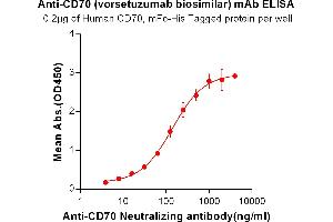 ELISA plate pre-coated by 2 μg/mL (100 μL/well) Human CD70, mFc-His tagged protein ABIN6961112, ABIN7042253 and ABIN7042254 can bind Anti-CD70 Neutralizing antibody  in a linear range of 3. (Rekombinanter CD70 (Vorsetuzumab Biosimilar) Antikörper)