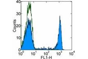 Image no. 1 for anti-CD8a Molecule (CD8A) antibody (FITC) (ABIN473798) (CD8 alpha Antikörper  (FITC))