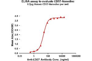 Elisa plates were pre-coated with Flag Tag CD37-Nanodisc (0. (CD37 Protein)