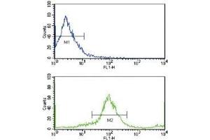 Flow cytometric analysis of MCF-7 cells using HER2 / ErbB2 antibody (bottom histogram) compared to a negative control cell (top histogram). (ErbB2/Her2 Antikörper  (AA 21-52))