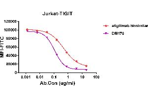 Competition assay demonstrating DM178 blockade of CD155 binding to Jurkat cell line transfected with human TIGIT,and competitive activity is better than etigilimab biosimilar. (TIGIT Antikörper  (AA 22-141))