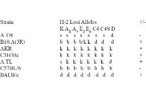 Image no. 1 for anti-MHC Class II I-Ek antibody (FITC) (ABIN114318) (MHC Class II I-Ek Antikörper  (FITC))