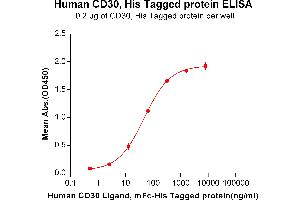 ELISA plate pre-coated by 2 μg/mL (100 μL/well) Human CD30, His tagged protein (ABIN6961166, ABIN7042361 and ABIN7042362) can bind Human CD30 Ligand,mFc-His tagged protein ABIN6961111, ABIN7042251 and ABIN7042252 in a linear range of 2. (TNFRSF8 Protein (AA 19-379) (His tag))