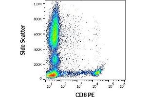 Flow cytometry surface staining pattern of human peripheral whole blood stained using anti-human CD8 (MEM-31) PE antibody (20 μL reagent / 100 μL of peripheral whole blood). (CD8 Antikörper  (PE))