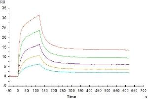 Surface Plasmon Resonance (SPR) image for CD3D & CD3E protein (His tag) (ABIN7274136)