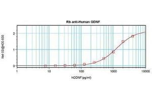 Image no. 1 for anti-Glial Cell Line Derived Neurotrophic Factor (GDNF) antibody (ABIN465722) (GDNF Antikörper)
