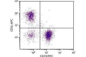 BALB/c mouse splenocytes were stained with Hamster Anti-Mouse CD3ε-APC. (CD3 epsilon Antikörper  (APC))