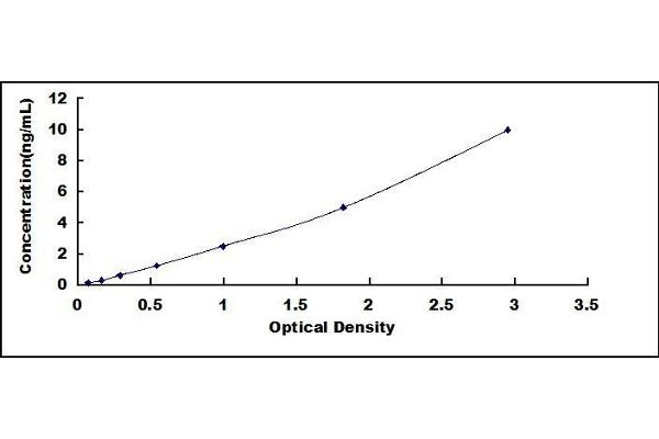 TRF2 ELISA Kit