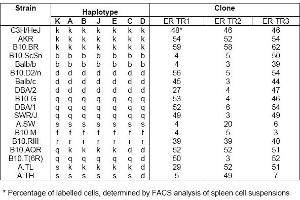 Distribution of ER-TR1, ER-TR2 and ER-TR3 among mouse strains with independent and recombinant haplotypes* (MHC Class II (I-A K,s,r) Antikörper)