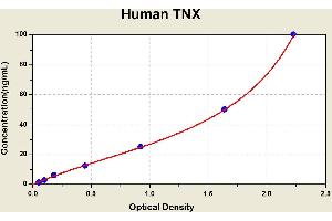 Diagramm of the ELISA kit to detect Human TNXwith the optical density on the x-axis and the concentration on the y-axis. (TNXB ELISA Kit)