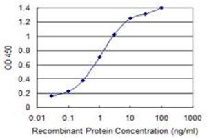 Detection limit for recombinant GST tagged PLEKHA6 is 0. (PLEKHA6 Antikörper  (AA 1-30))