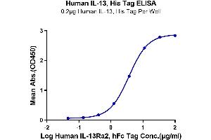 ELISA image for Interleukin 13 (IL13) (AA 21-132) protein (His-Avi Tag) (ABIN7274900)