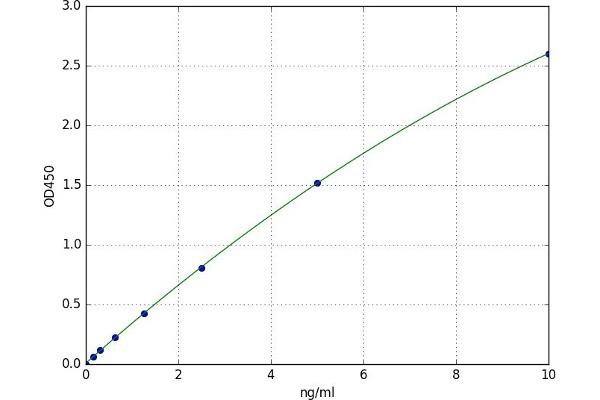 CAMK2D ELISA Kit