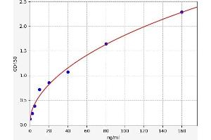 Typical standard curve (Clusterin ELISA Kit)