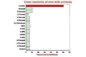 Cross-reactivity of anti-ACR antibody. (ACR-Modified Keyhole-Lympet Hemocyanine Antikörper)