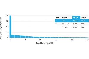 Specificity of ABIN6383875 to CD14 was tested on a human protein array, showing monospecificity against >19,000 full-length human proteins. (CD14 Antikörper  (Extracellular Domain))