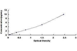 Typical standard curve (CST3 ELISA Kit)