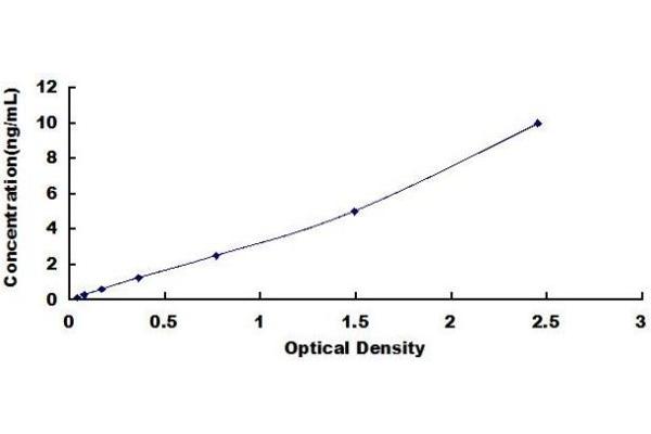 CST3 ELISA Kit