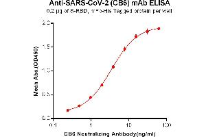 ELISA plate pre-coated by 2 μg/mL (100 μL/well) Human S-RBD, mFc-His tagged protein ABIN6961147, ABIN7042323 and ABIN7042324 can bind Anti-SARS-CoV-2 Neutralizing antibody in a linear range of 0. (Rekombinanter SARS-CoV-2 (CB6 Biosimilar) Antikörper)